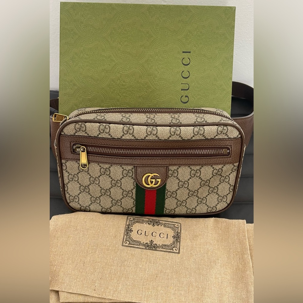 Gucci Ophidia GG belt bag